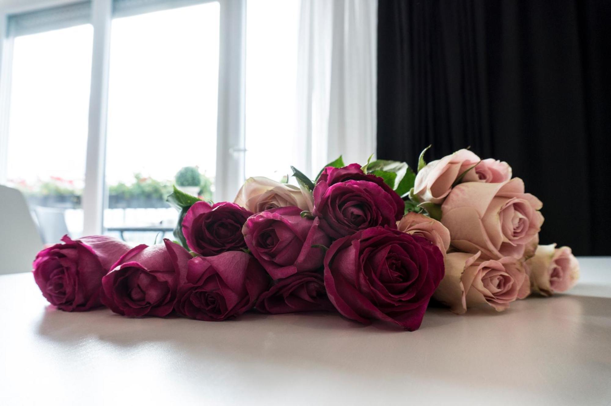 The Queen Luxury - Fiorita Appartamento